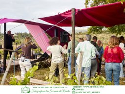 Festival Mar de Tethys 2026 - Bodega Vetas